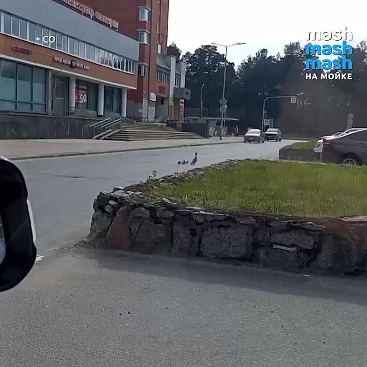 -       : -                   