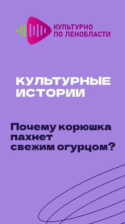    ,      -  :       ?