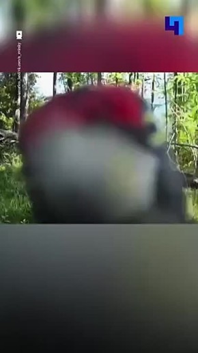   :        
