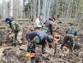 В Подпорожском районе нашли останки 80 красноармейцев
