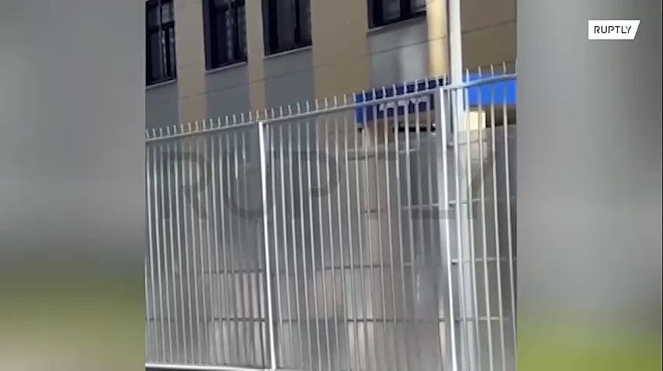      :   ,    ,     