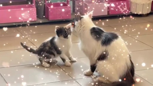  :          )))