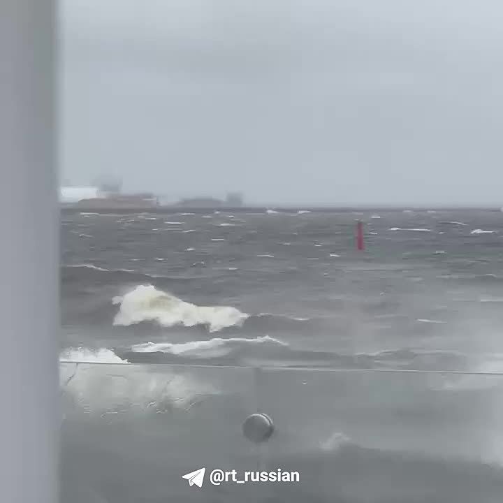     :    ,    