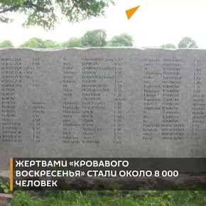 &quot; &quot;        11  1943 