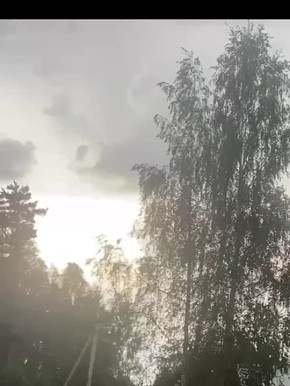  :       ,   