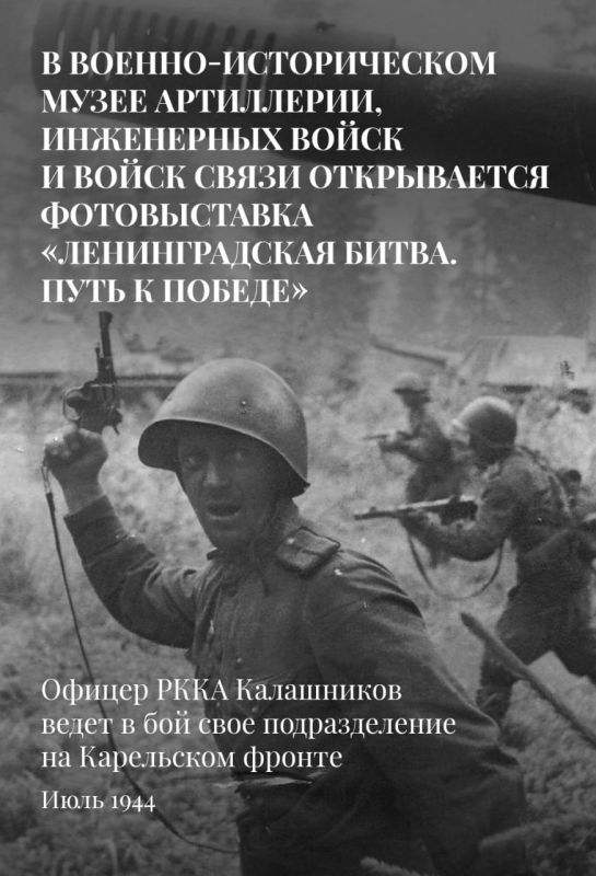  :      81-        -  ,         .   