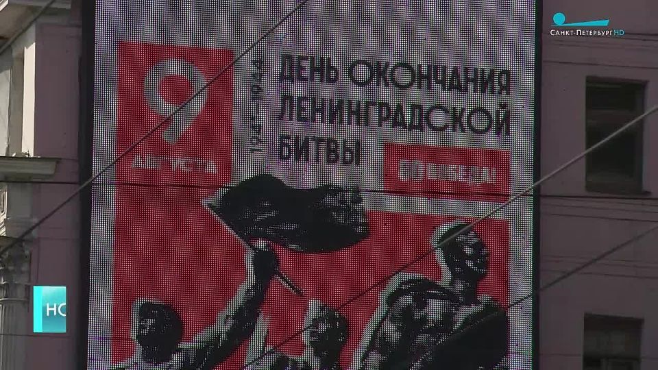      81-    
