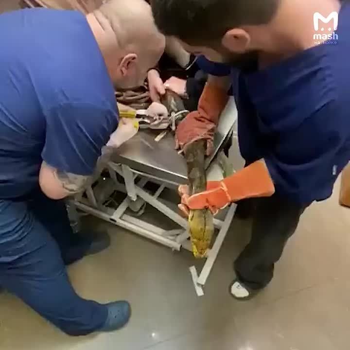           ,      ,    