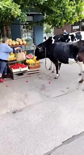           ,         