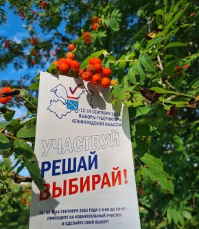  14-   ʻ           ,     12, 13  14 