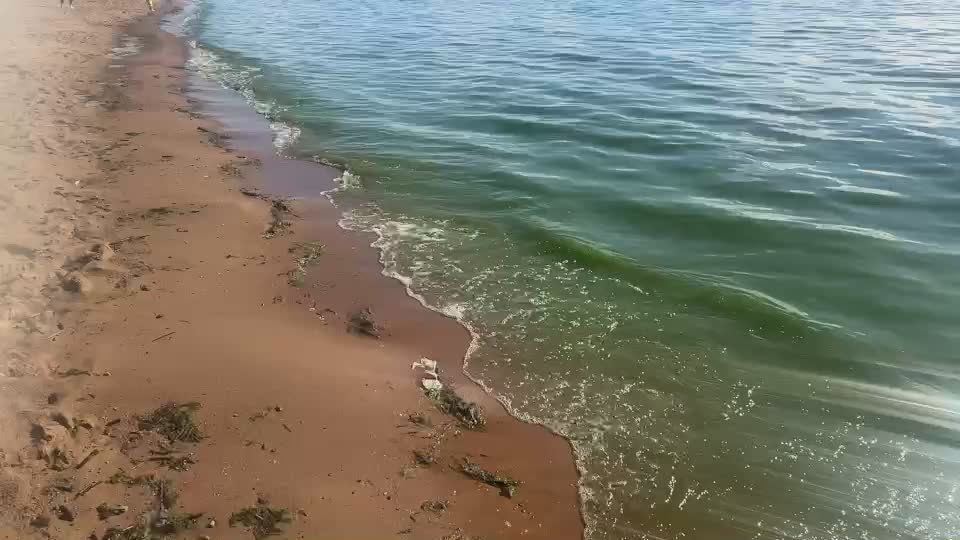      - 