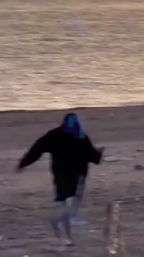    .   ,   