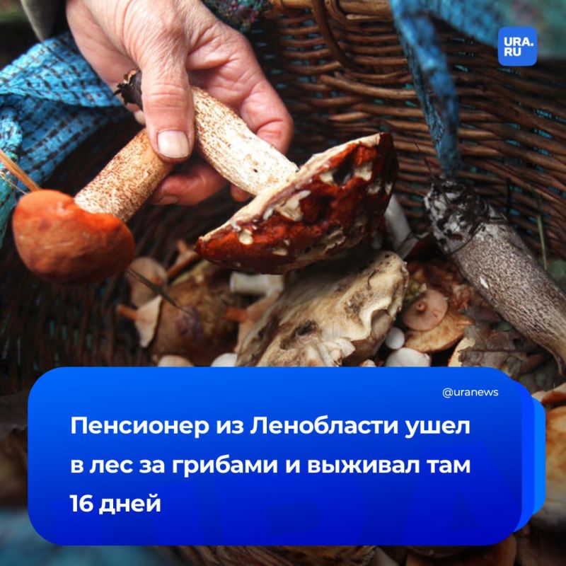 - 16    