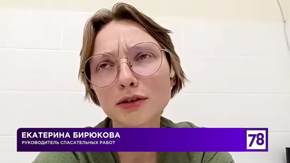      :       