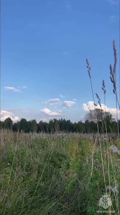     56  