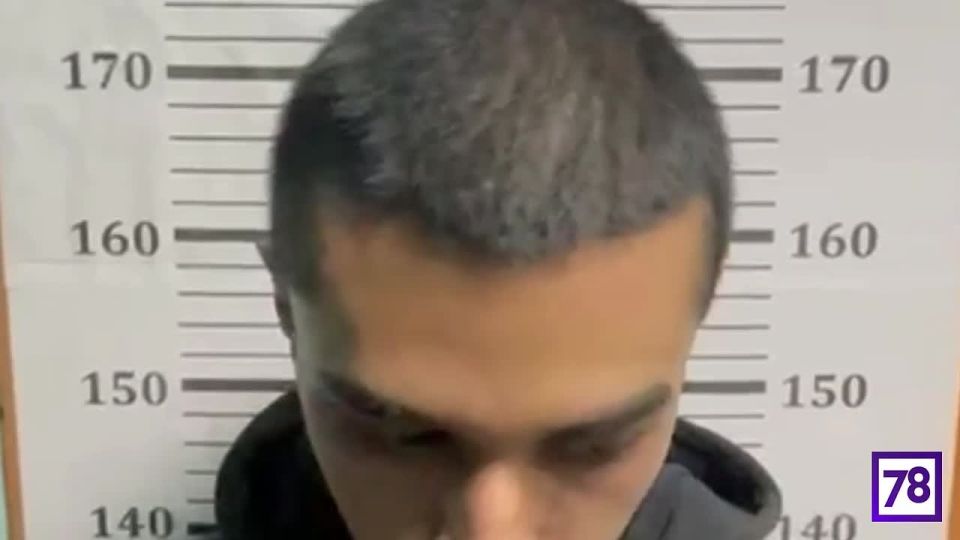        15     -   31-               