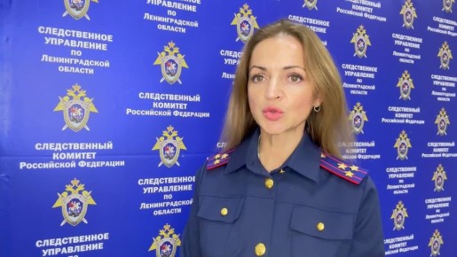 Официальный комментарий старшего помощника руководителя СУ СК России по Ленинградской области (по информационному взаимодействию с общественностью и СМИ)