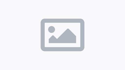 Объявлена опасность БПЛА в воздушном пространстве Ленинградской области