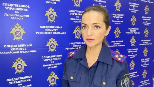 В Ломоносовском районе в связи с произошедшим ДТП с участием пассажирского автобуса возбуждено уголовное дело