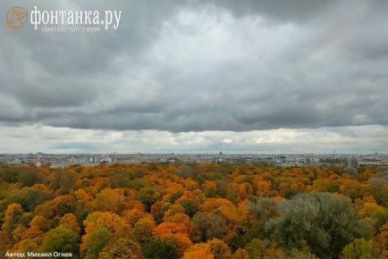 Сегодня ожидается самый теплый день за эту неделю