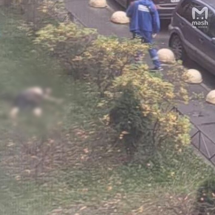 В Кудрово молодая девушка погибла, вывалившись из окна — в момент, когда арендодатель пришёл за деньгами В Кудрово молодая девушка погибла, вывалившись из окна — в момент, когда арендодатель пришёл за деньгами