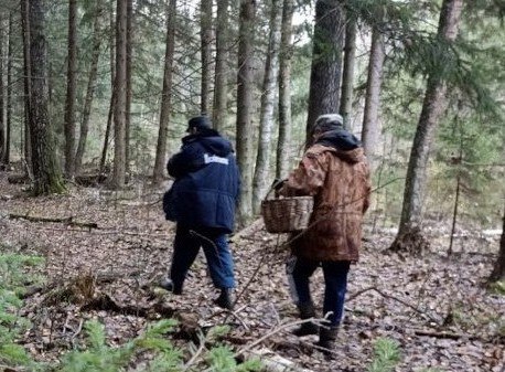 За прошедшие сутки подразделения территориального пожарно-спасательного гарнизона Ленинградской области реагировали на 13 оперативных событий: За прошедшие сутки подразделения территориального пожарно-спасательного гарнизона Ленинградской области реагировали на 13 оперативных событий: