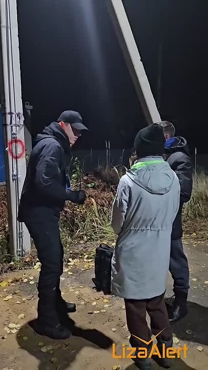 Волонтеры нашли на болотах Ленобласти заблудившегося грибника