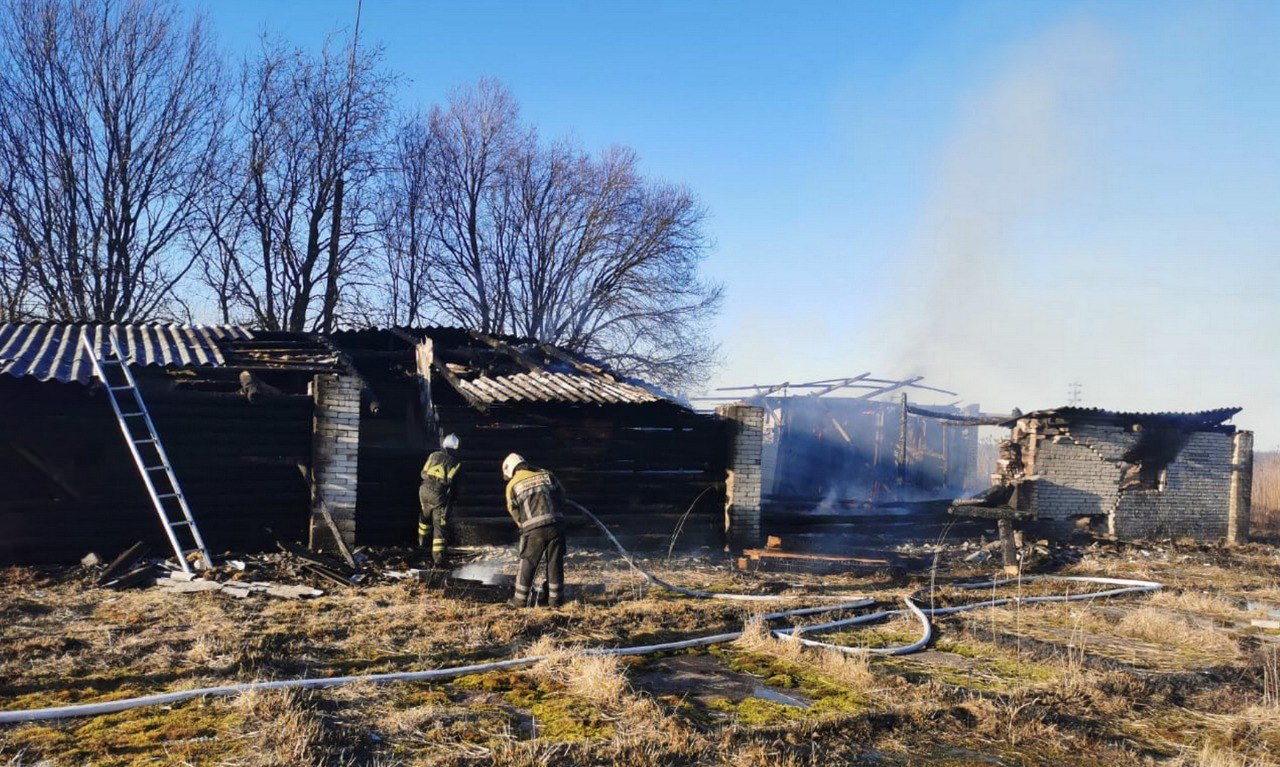За прошедшие сутки подразделения территориального пожарно-спасательного гарнизона Ленинградской области реагировали на 14 оперативных событий: