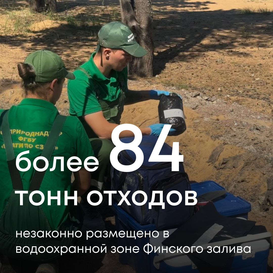 Росприроднадзор направил администрации Лебяженского городского поселения Ленинградской области требование о возмещении свыше 8 млн рублей вреда, причиненного почвам