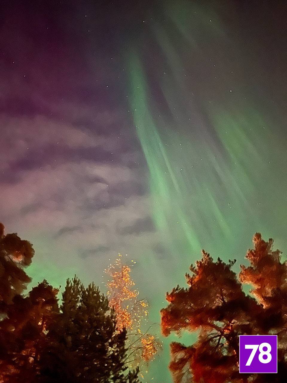 Северное сияние озарило небо над Ленобластью Северное сияние озарило небо над Ленобластью