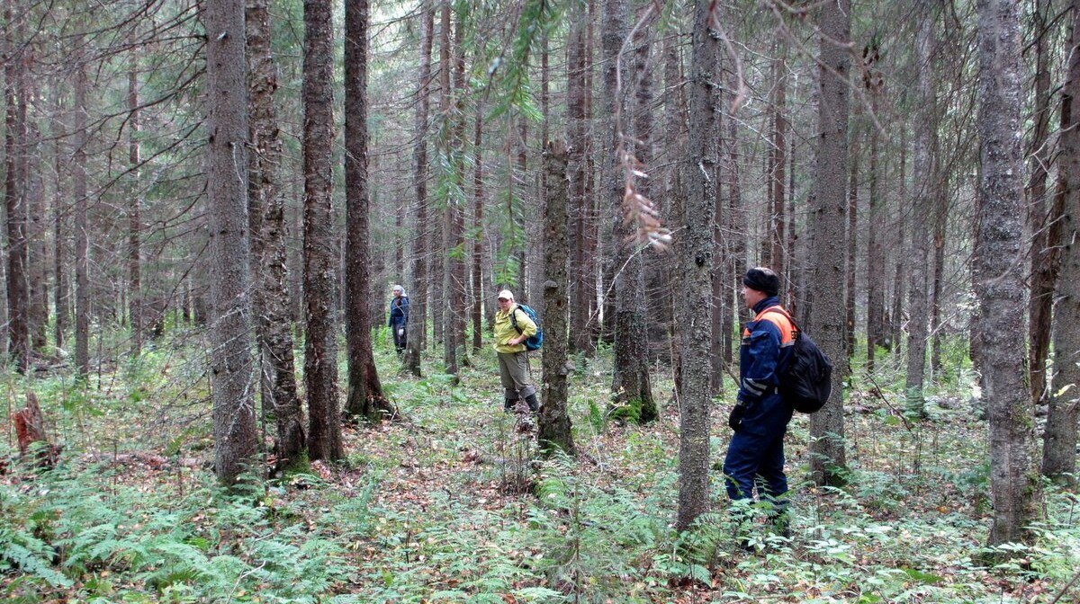 За прошедшие сутки подразделения территориального пожарно-спасательного гарнизона Ленинградской области реагировали на 10 оперативных событий: За прошедшие сутки подразделения территориального пожарно-спасательного гарнизона Ленинградской области реагировали на 10 оперативных событий:
