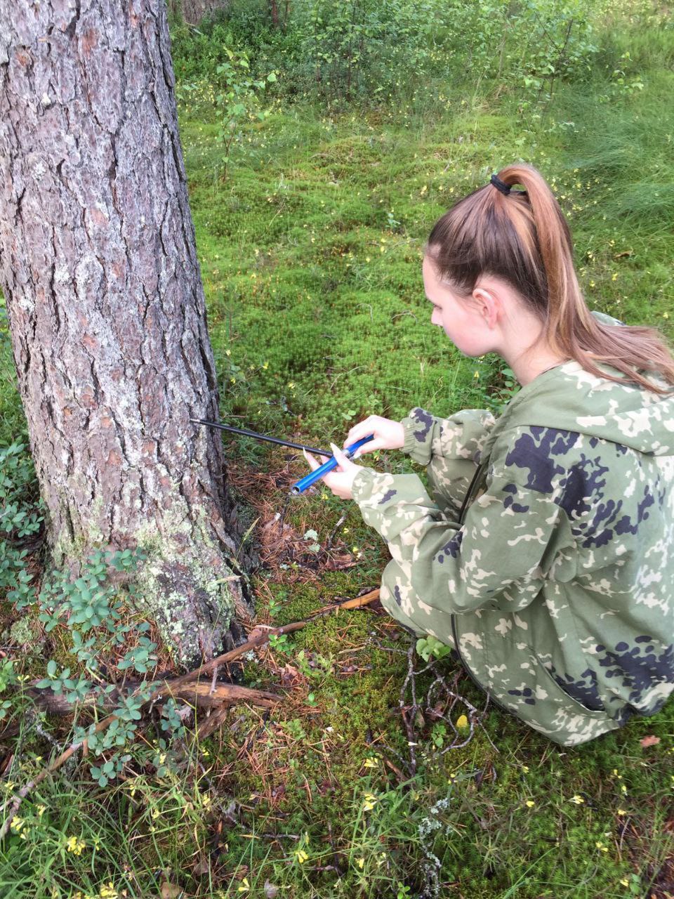 Комитет по природным ресурсам Ленобласти завершил лесопатологические обследования на предмет поражения короедом-типографом Комитет по природным ресурсам Ленобласти завершил лесопатологические обследования на предмет поражения короедом-типографом