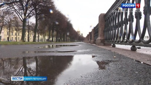 В первые дни ноября синоптики обещают петербуржцам теплую и пасмурную погоду