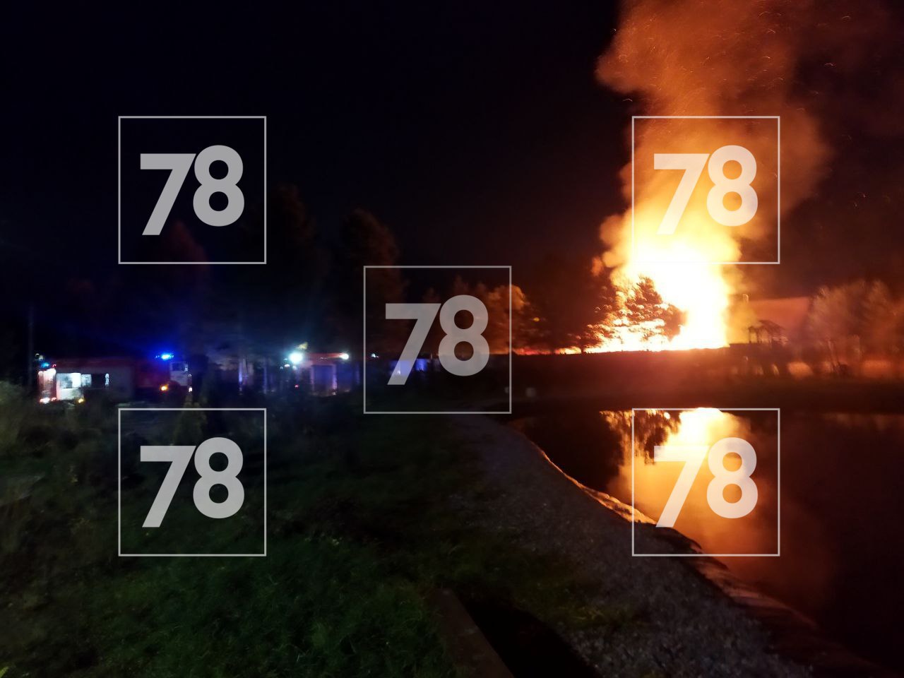 Собака оказалась заложницей мощного пожара в СНТ под Петербургом Собака оказалась заложницей мощного пожара в СНТ под Петербургом