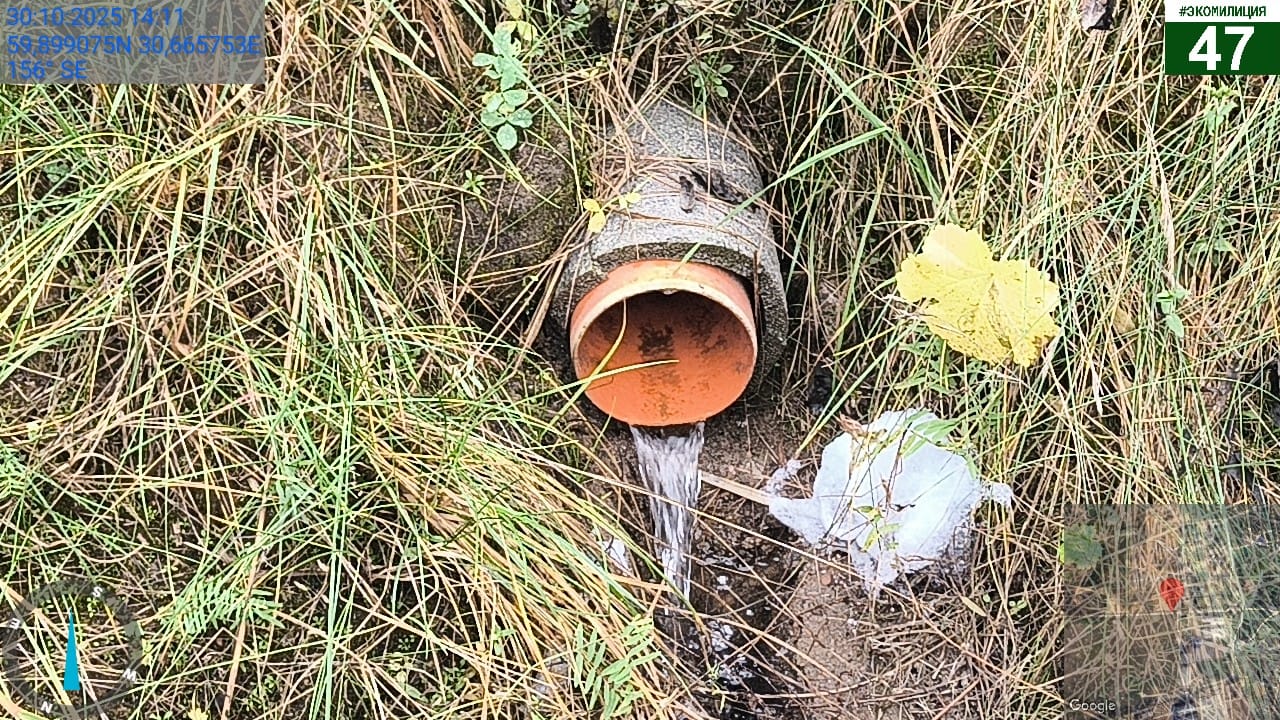 Комитет госэконадзора Ленобласти пресек сброс неочищенных стоков во Всеволожском районе Комитет госэконадзора Ленобласти пресек сброс неочищенных стоков во Всеволожском районе