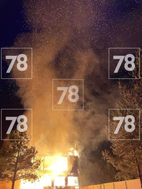 Собака оказалась заложницей мощного пожара в СНТ под Петербургом