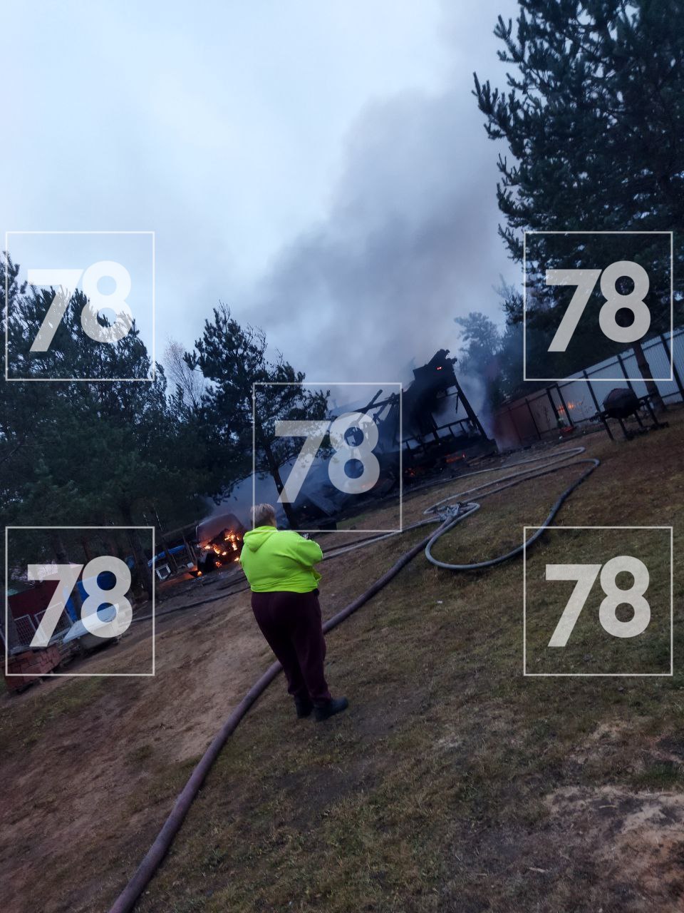 Собака оказалась заложницей мощного пожара в СНТ под Петербургом Собака оказалась заложницей мощного пожара в СНТ под Петербургом