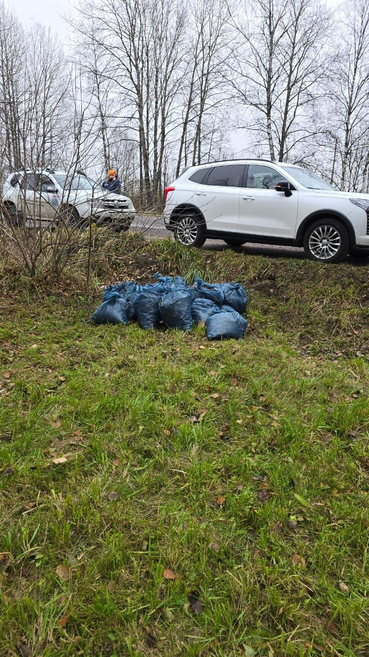 Ветеринарные врачи Ломоносовского района навели порядок у воинских мемориалов Ветеринарные врачи Ломоносовского района навели порядок у воинских мемориалов