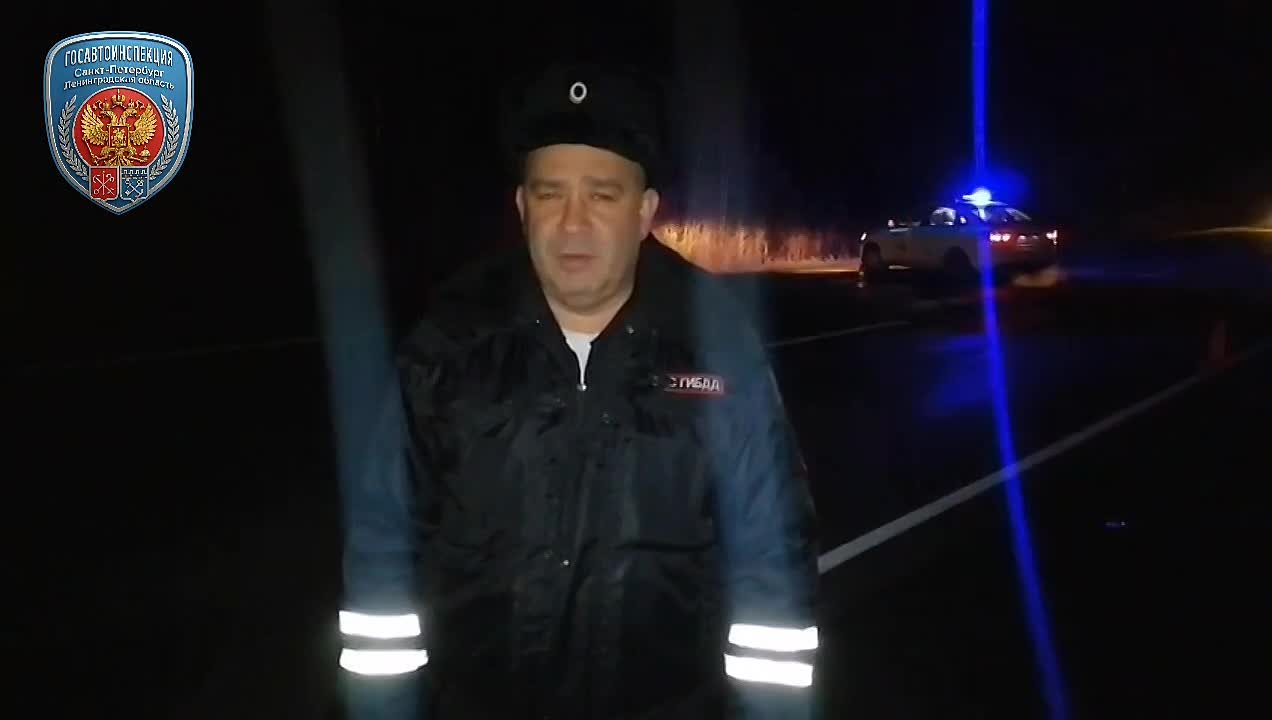 В дорожно-транспортном происшествии на автодороге «Лодейное Поле – Вытегра – Прошкино – Плесецк – Брин-Наволок» погиб 35-летний мужчина