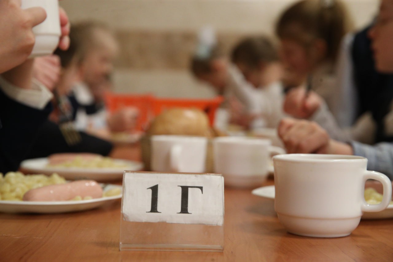 ФАС приостановила многомиллионные контракты на поставку обедов в колпинские школы