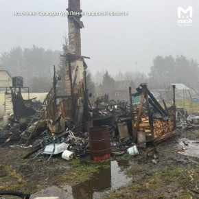 Второй за сутки смертельный пожар в Ленобласти — тела женщины и детей пяти и 12-ти лет обнаружили на пепелище, которое осталось от частного дома в Лужском районе