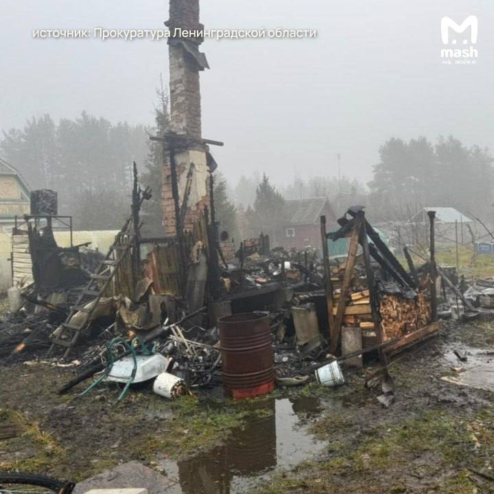 Второй за сутки смертельный пожар в Ленобласти — тела женщины и детей пяти и 12-ти лет обнаружили на пепелище, которое осталось от частного дома в Лужском районе