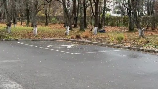 Проект #провереноСВОими объехал все города Ленобласти с инспекцией состояния доступной среды в учреждениях, спортивных комплексах, на транспорте и на улицах