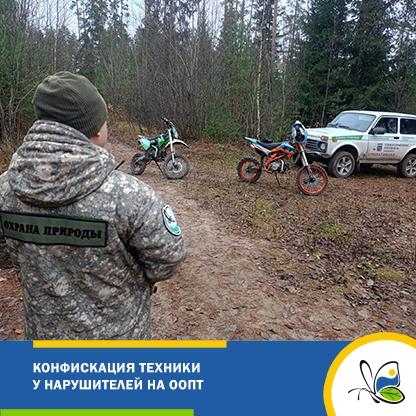 На ООПТ Ленобласти конфисковали мотоциклы и квадроциклы нарушителей