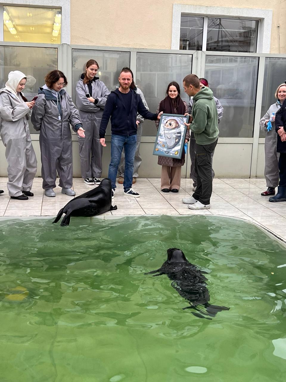 В Центре изучения и сохранения морских млекопитающих в Репино прошел субботник В Центре изучения и сохранения морских млекопитающих в Репино прошел субботник