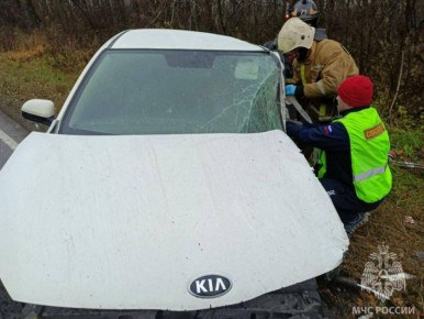 В Ломоносовском районе пожарные спасли двух человек из разбитого автомобиля