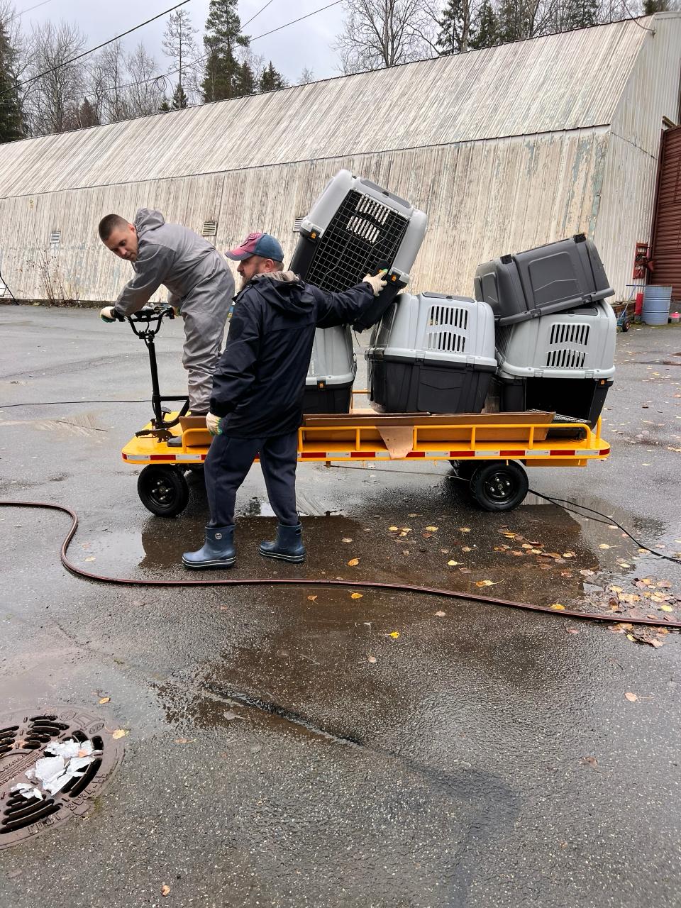 В Центре изучения и сохранения морских млекопитающих в Репино прошел субботник В Центре изучения и сохранения морских млекопитающих в Репино прошел субботник