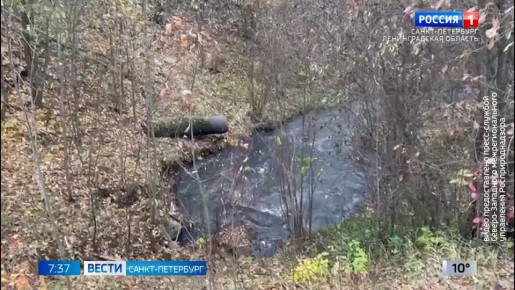 Сотрудники Росприроднадзора установили причину загрязнения реки Охта