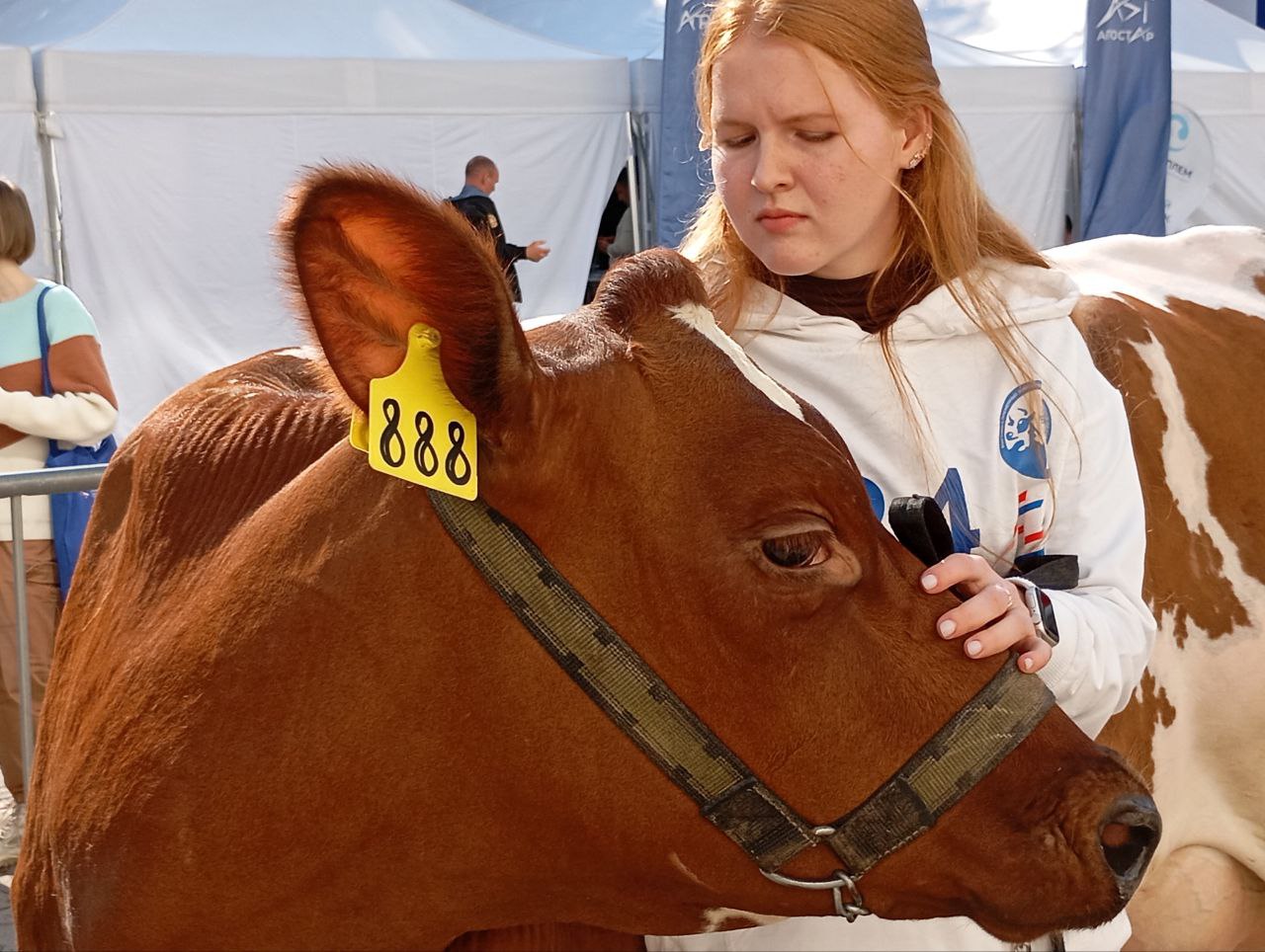 Ленобласть будет субсидировать продажи молока в населенных пунктах от производителей Ленобласть будет субсидировать продажи молока в населенных пунктах от производителей