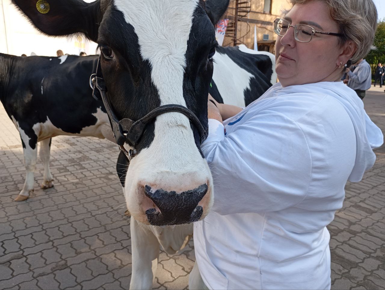 Ленобласть будет субсидировать продажи молока в населенных пунктах от производителей Ленобласть будет субсидировать продажи молока в населенных пунктах от производителей